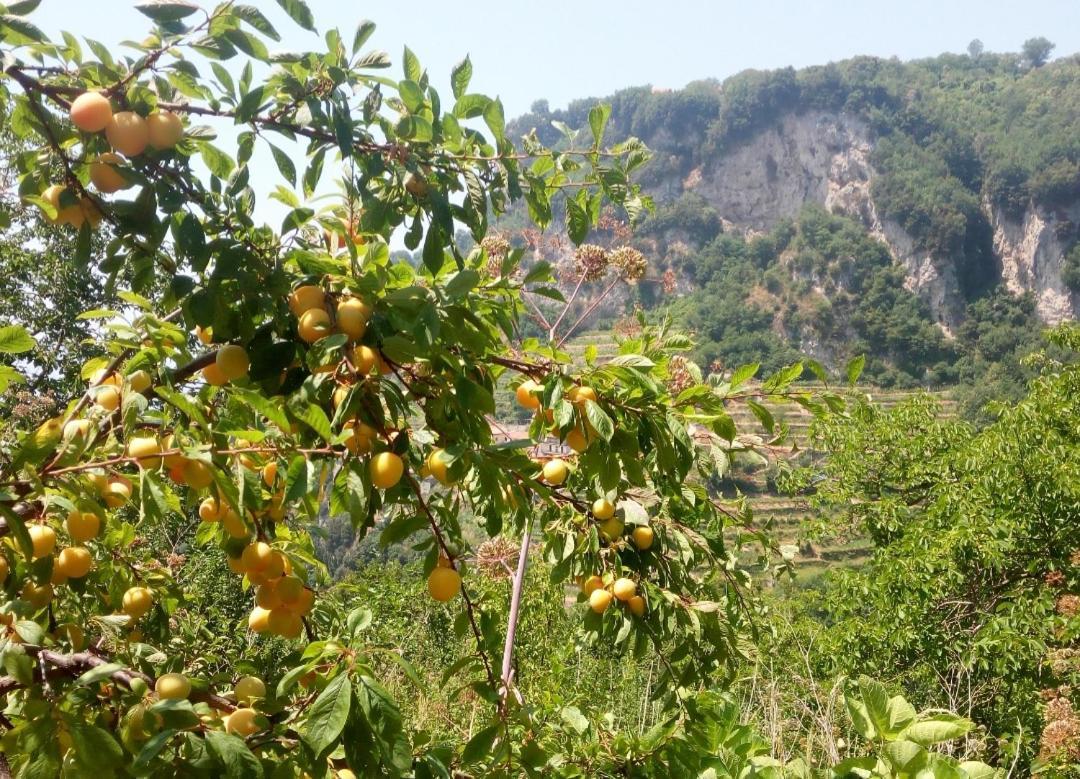 Agriturismo Orrido Di Pino Villa Agerola Exteriör bild