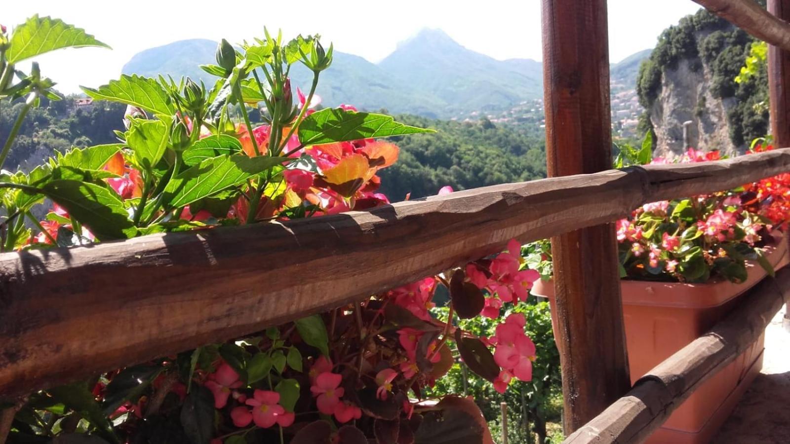 Agriturismo Orrido Di Pino Agerola Exteriör bild