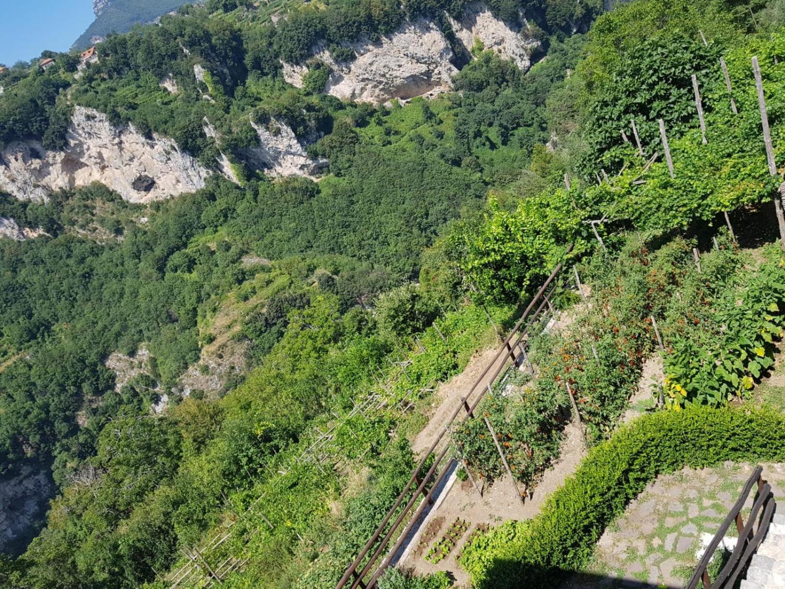 Agriturismo Orrido Di Pino Agerola Exteriör bild