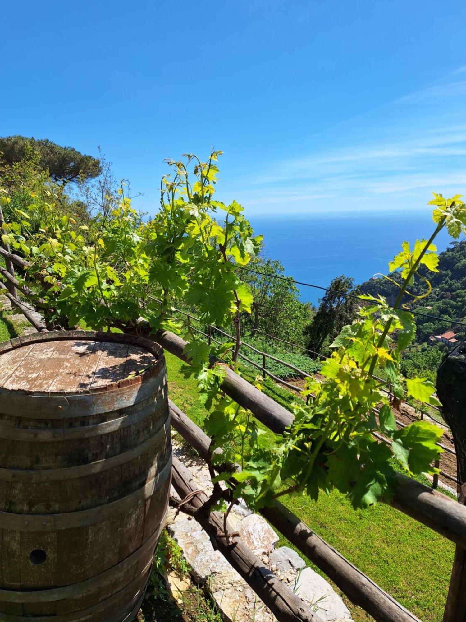 Agriturismo Orrido Di Pino Agerola Exteriör bild