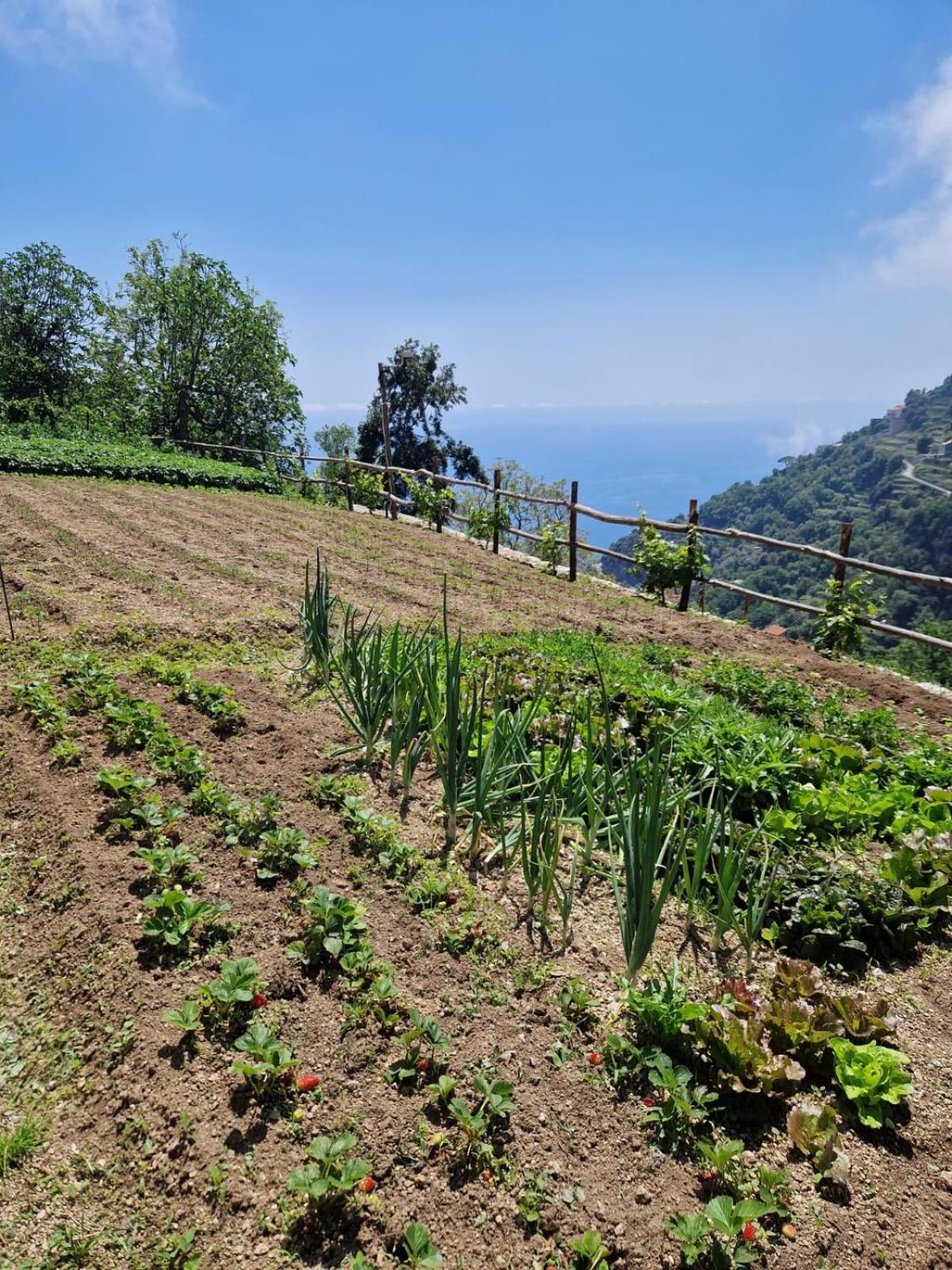 Agriturismo Orrido Di Pino Agerola Exteriör bild