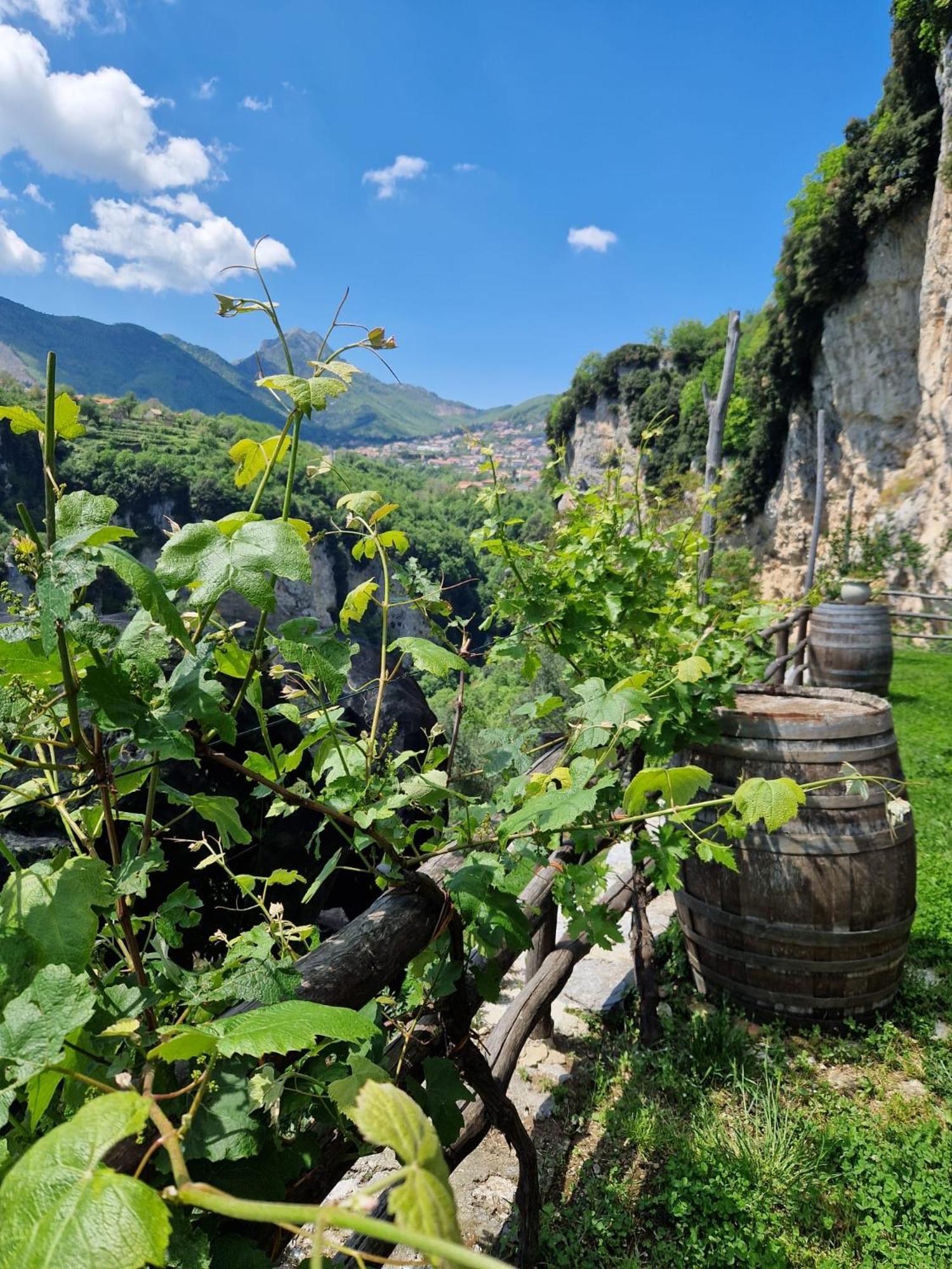 Agriturismo Orrido Di Pino Villa Agerola Exteriör bild