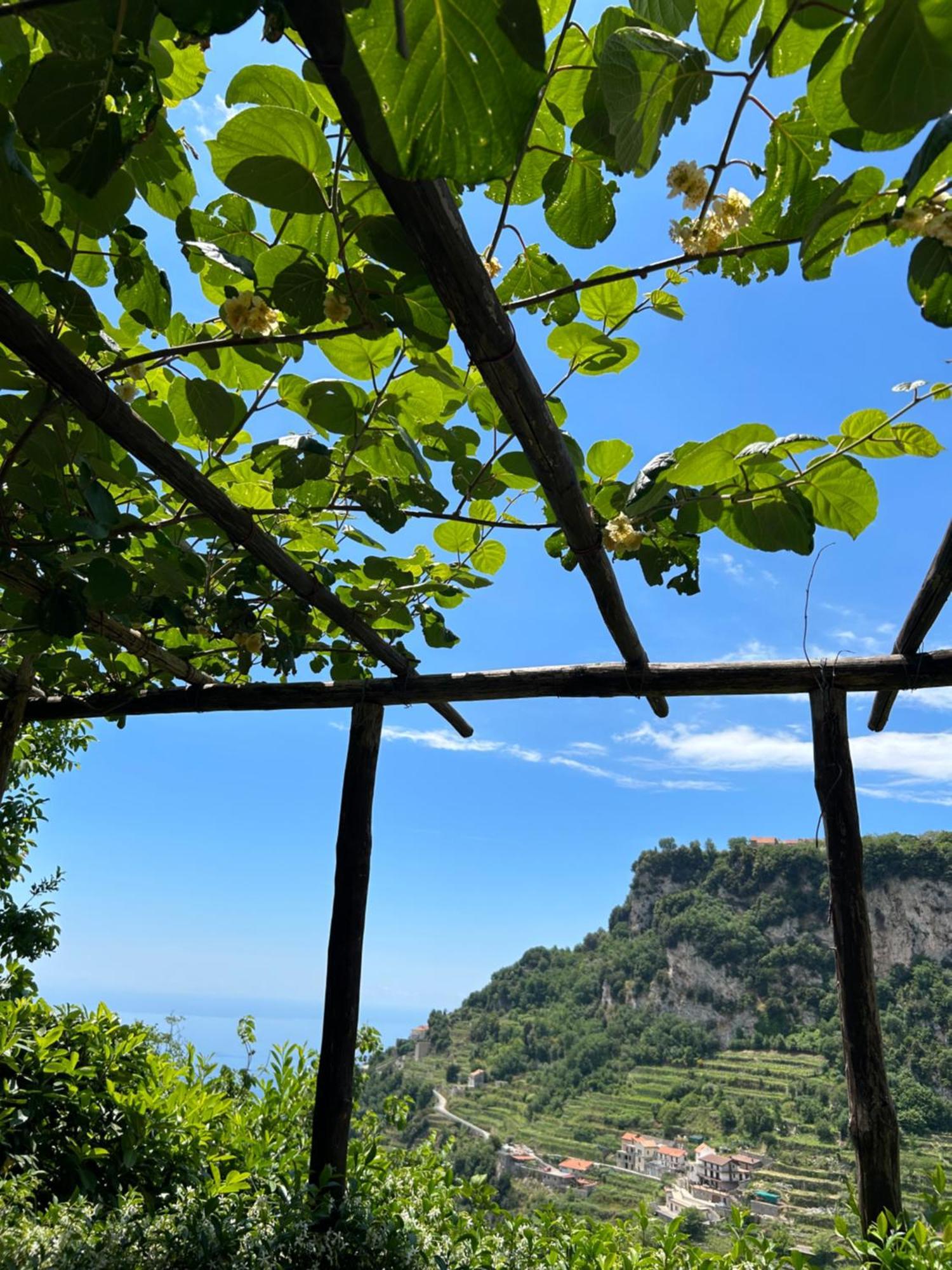 Agriturismo Orrido Di Pino Agerola Exteriör bild