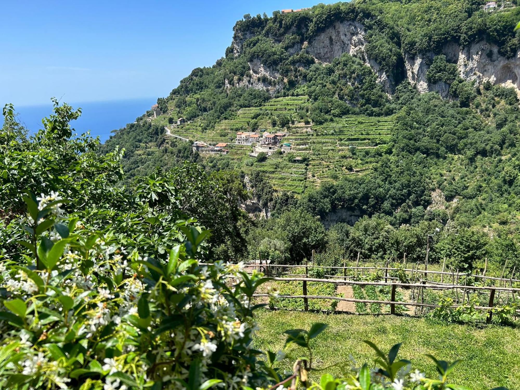 Agriturismo Orrido Di Pino Agerola Exteriör bild